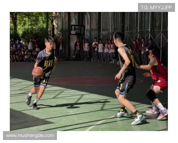 篮球精彩直播回放全解析重温关键瞬间与战术细节赛场高光表现深度复盘